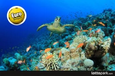 Melhores recifes de coral