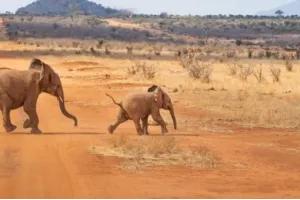 Kenya