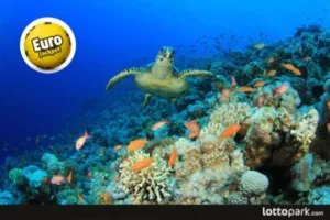 Melhores recifes de coral