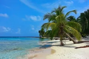 Image d’actualité