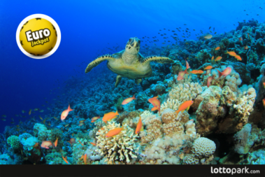 Top koraljni grebeni